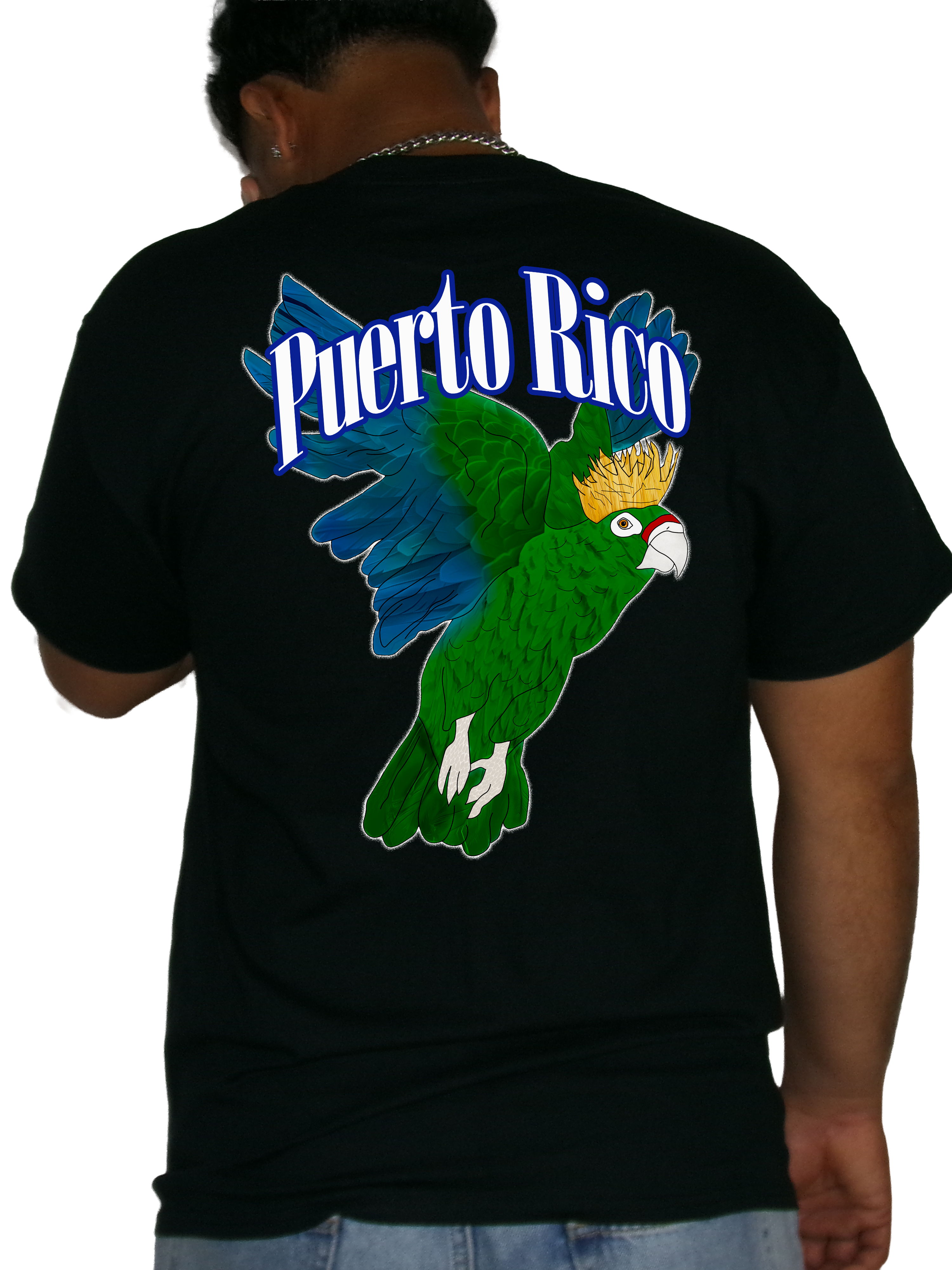 Cotorra de Puerto Rico