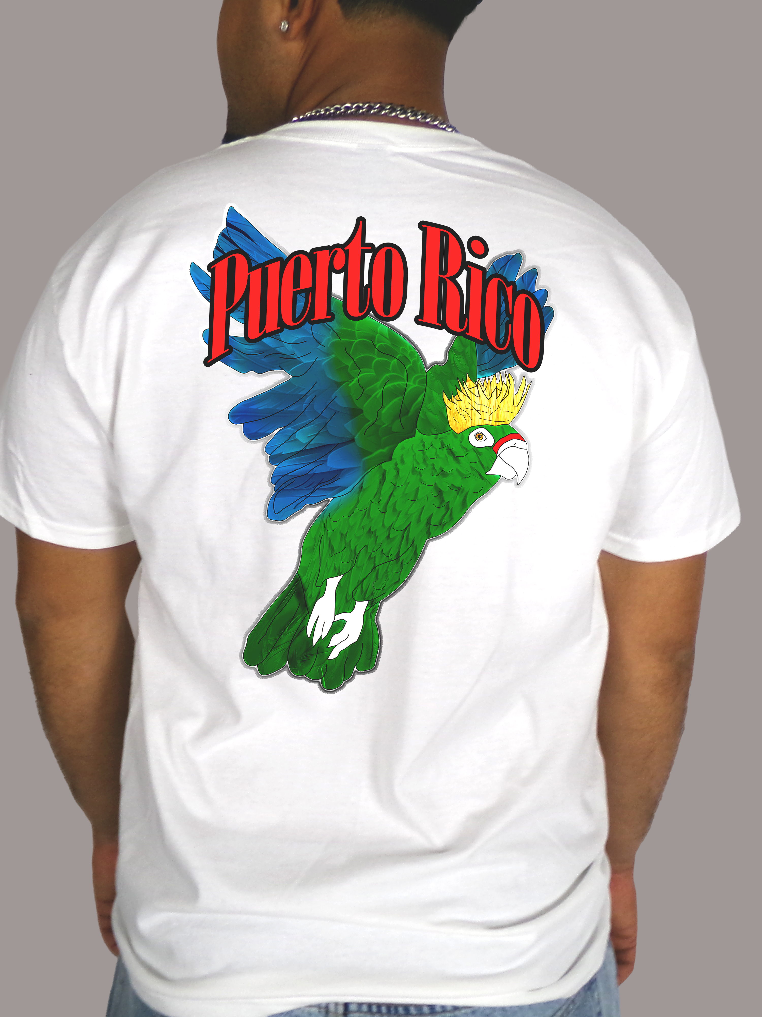 Cotorra de Puerto Rico